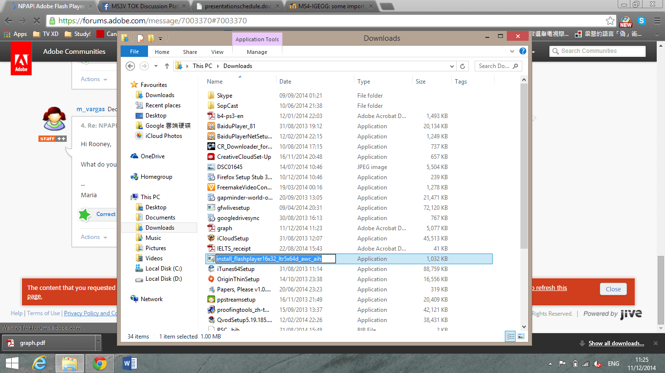 NPAPI Adobe Flash Player plugin Google Chrome Adobe